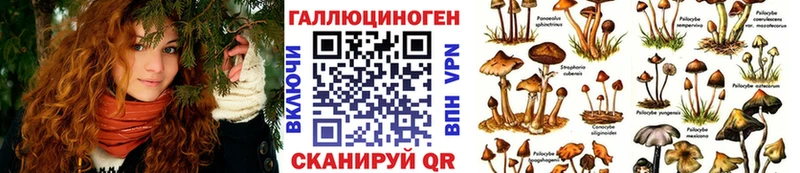 дарнет шоп Нея Псилоцибиновые грибы GOLDEN TEACHER
